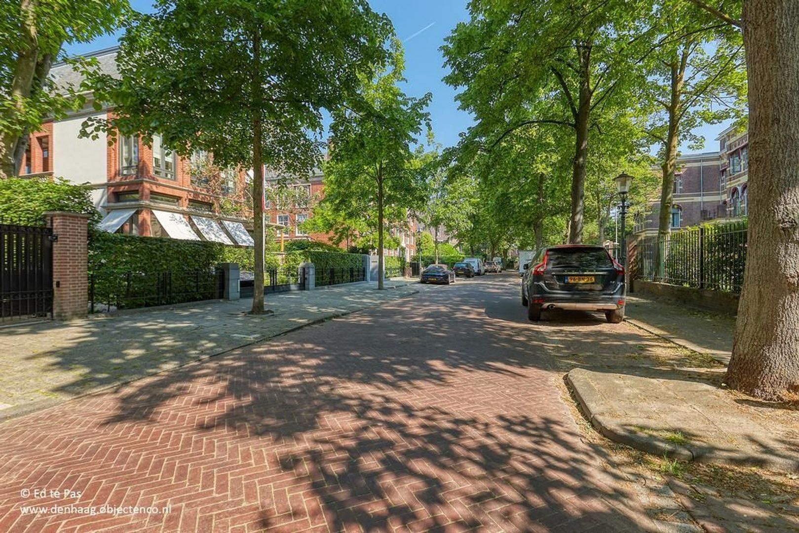 Parkweg, Den Haag foto-32 blur