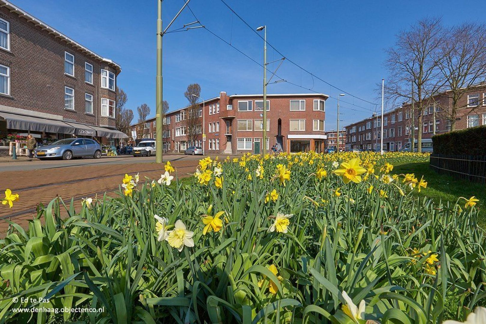 Pahudstraat, Den Haag foto-26 blur