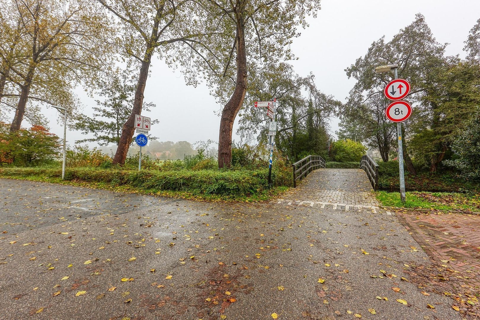 Burgemeester Cannegieterlaan, Voorschoten foto-41 blur