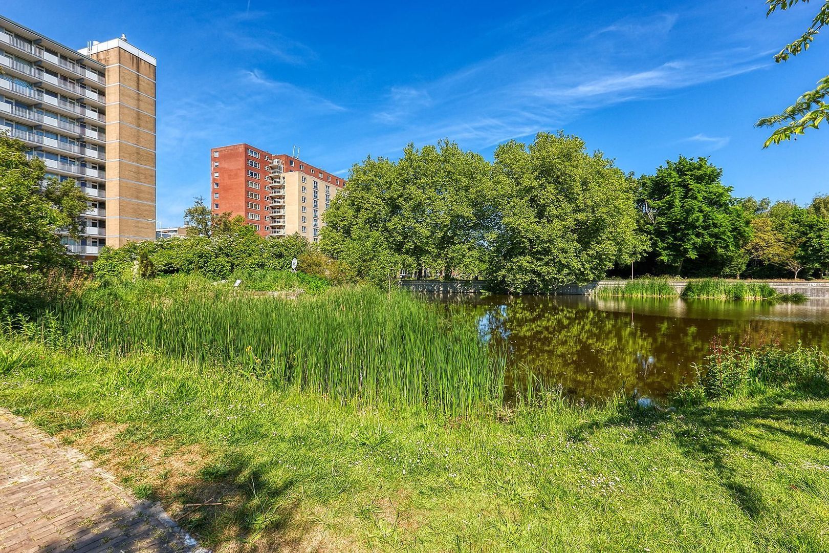 Spinozalaan 1 G II, Voorburg foto-34 blur