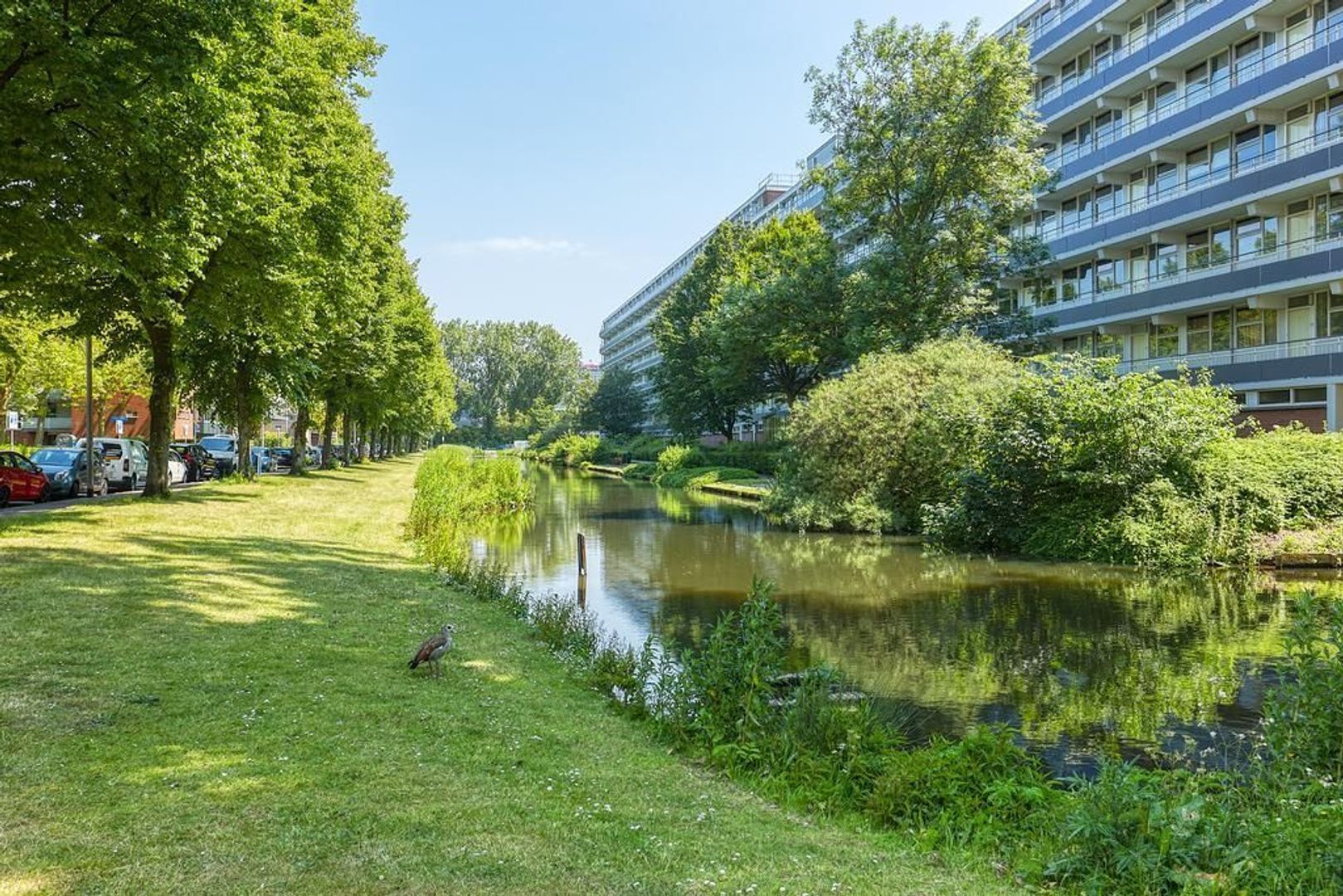 Apolloweg 55, Delft foto-32 blur