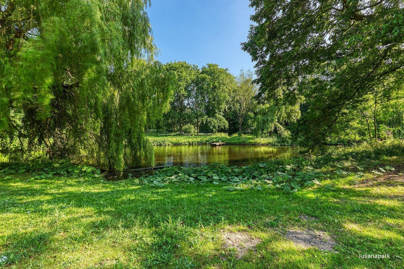 Henriette Keggehof 1, Den Haag foto-41 blur