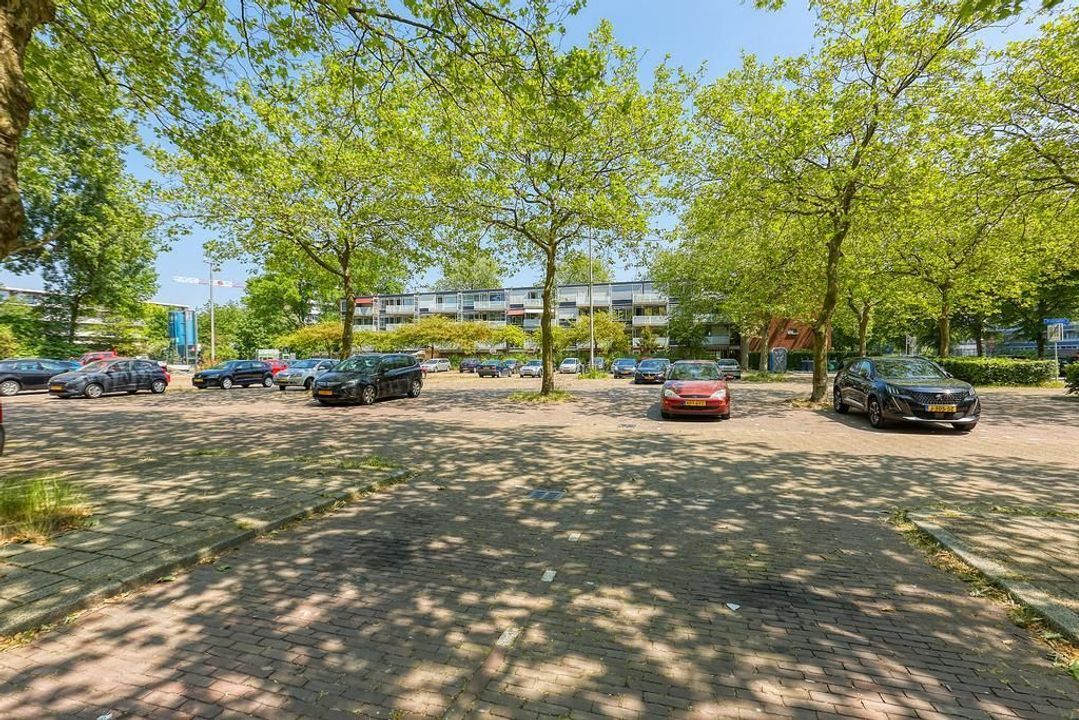 Apolloweg