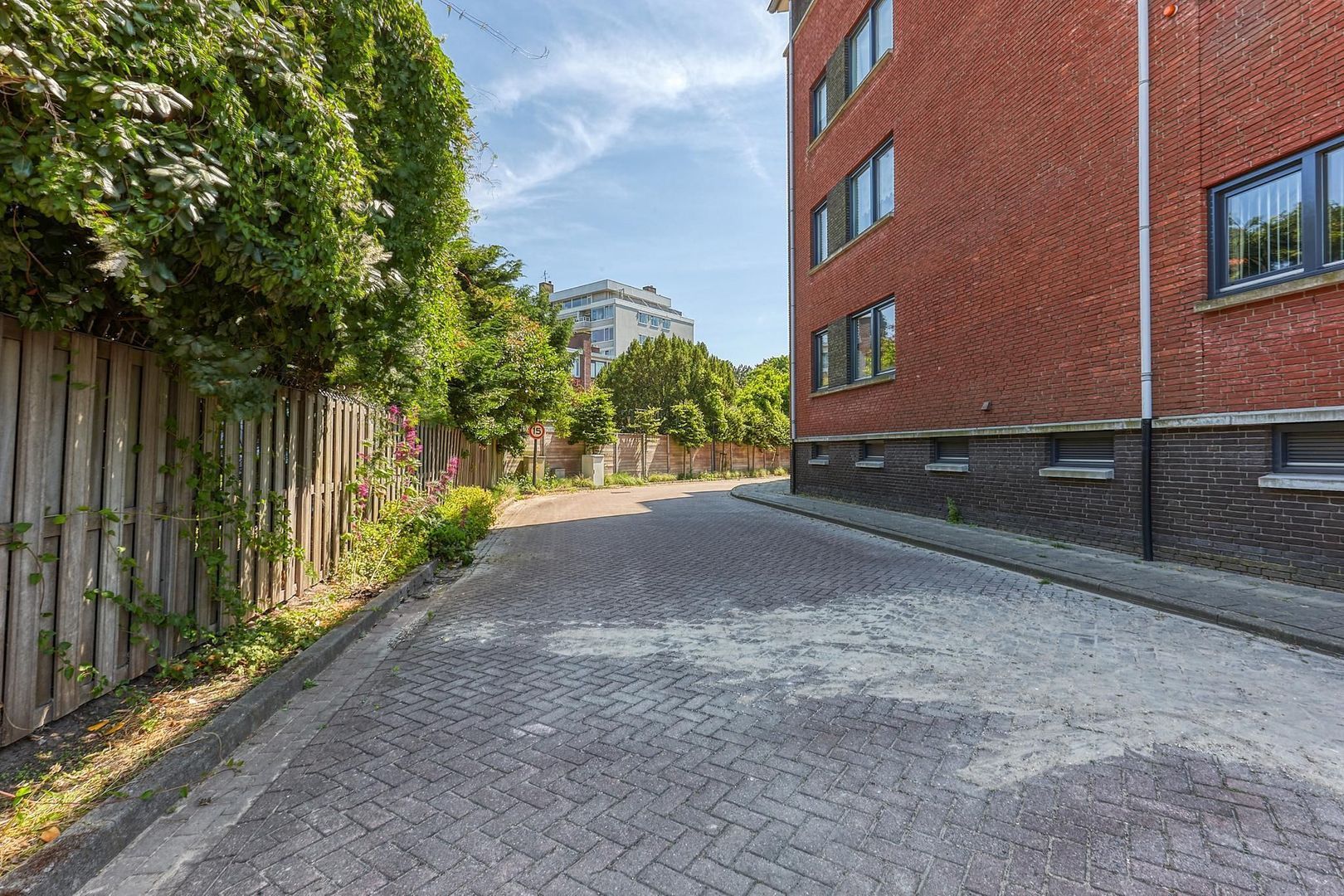 Laantje van Braskamp 5, Rijswijk foto-36 blur