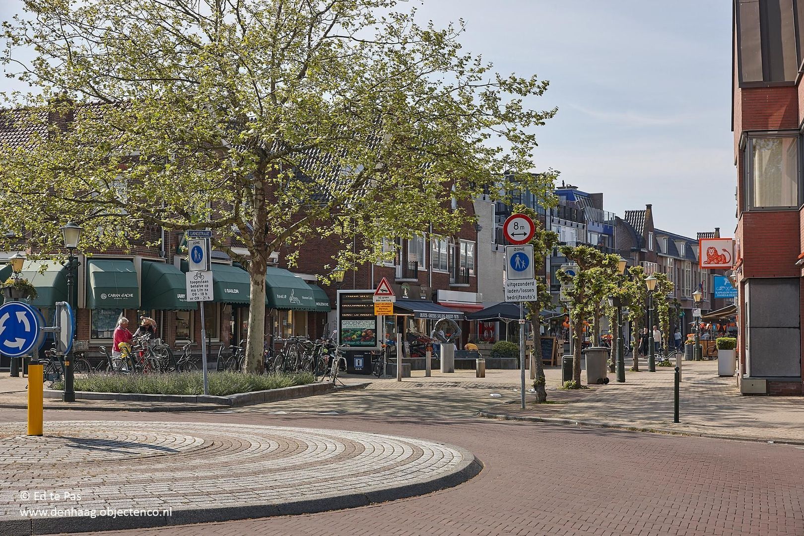Van Zuylen van Nijeveltstraat 187, Wassenaar foto-38 blur