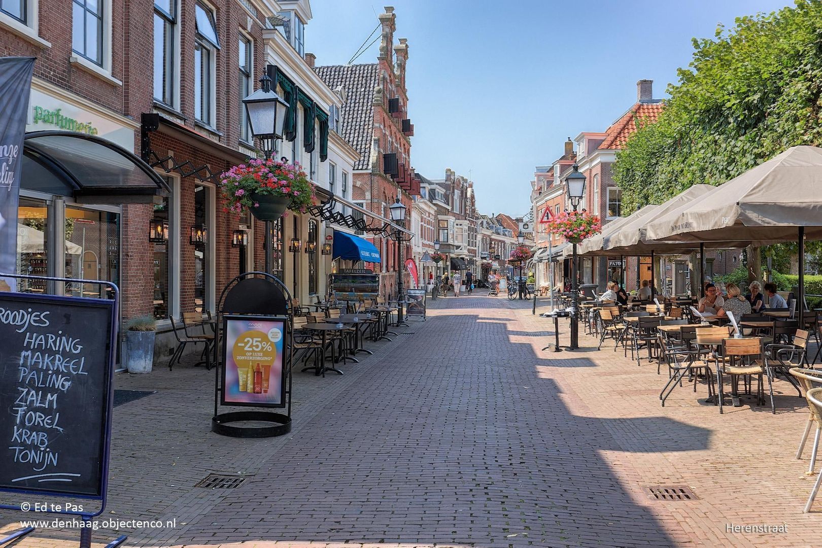 Marie Hoffmanlaan 43, Voorburg foto-28 blur
