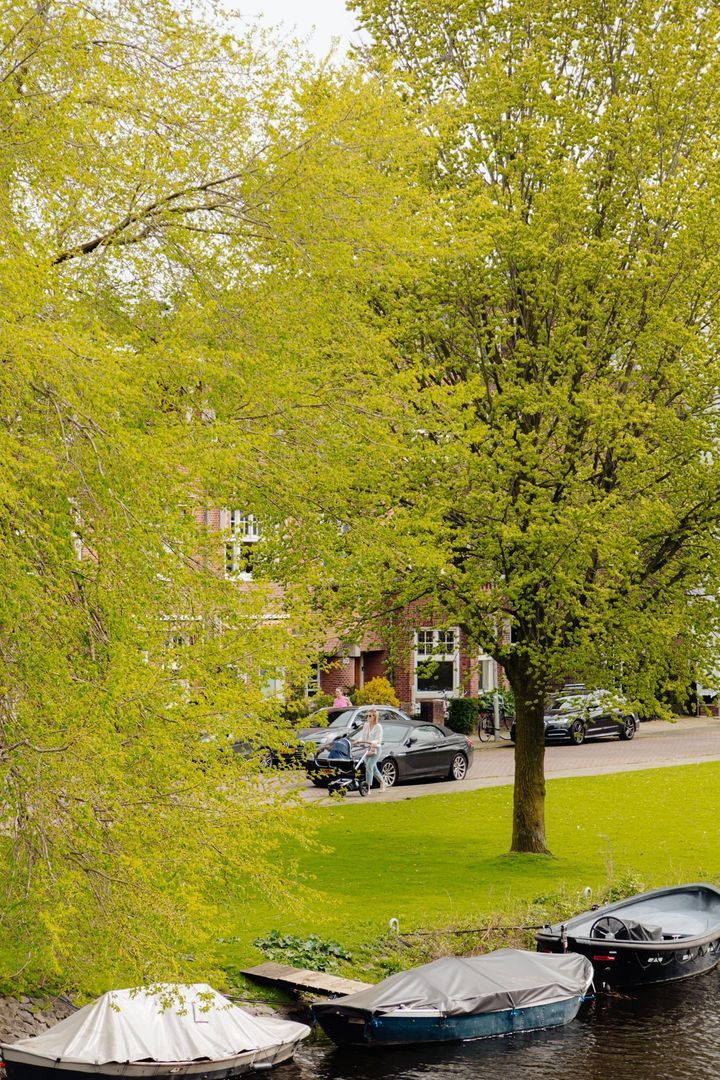 Dijsselhofplantsoen 12, Amsterdam foto-30