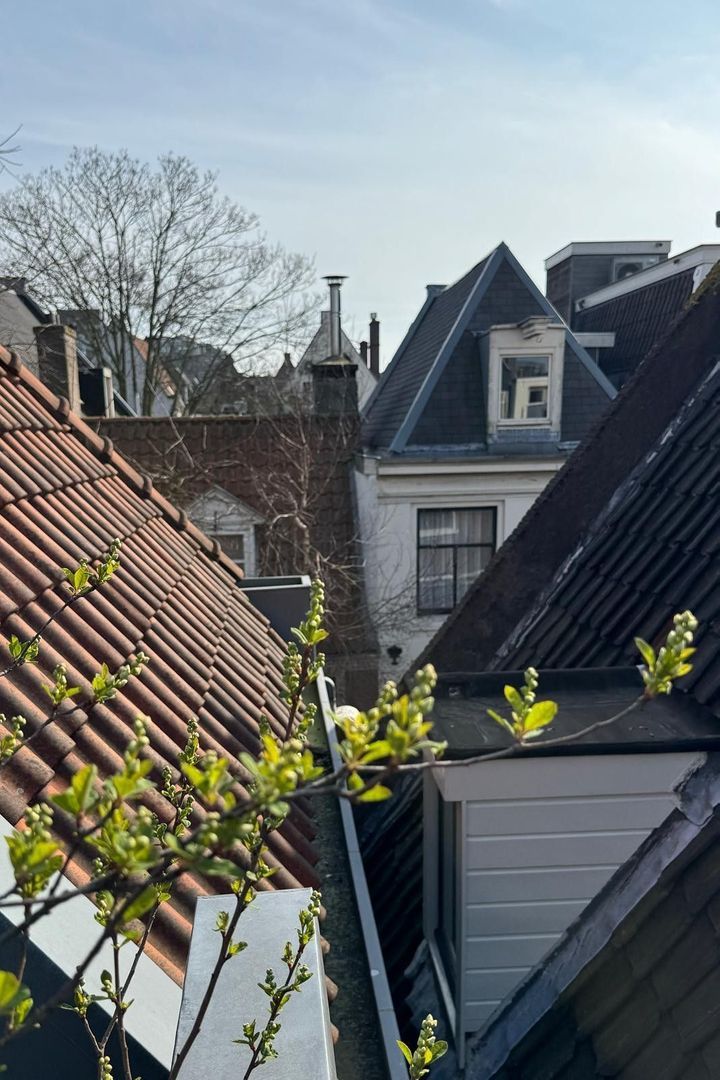 Utrechtsedwarsstraat 149, Amsterdam foto-32