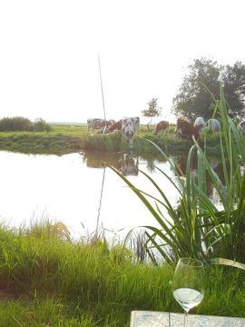 Woude 26, De Woude foto-21 thumb