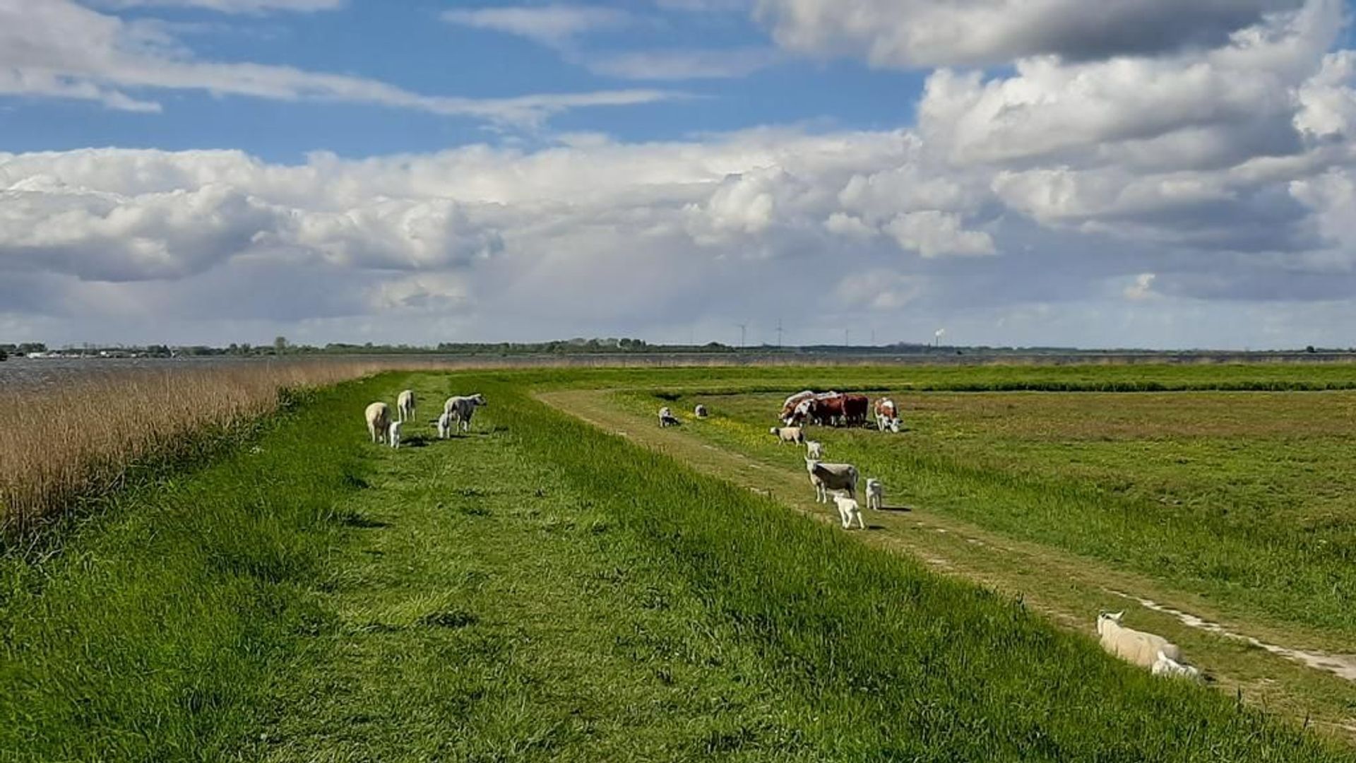 Woude 26, De Woude foto-22