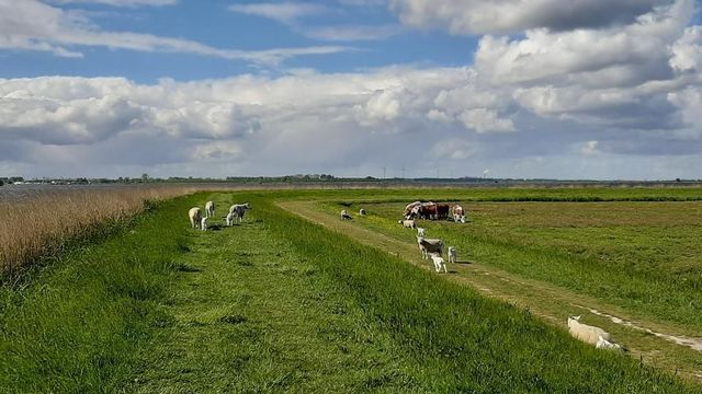 Woude 26, De Woude foto-22 thumb