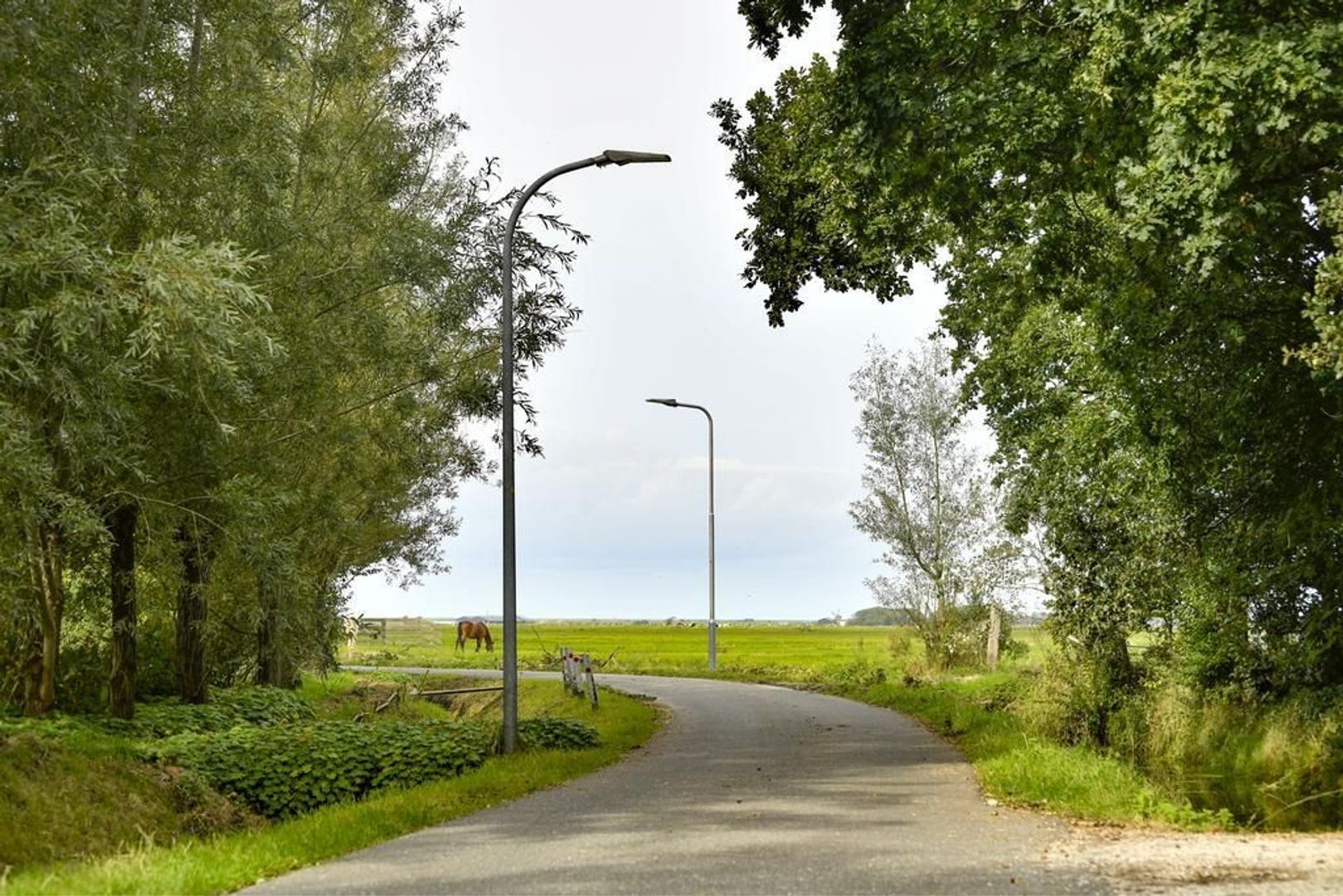 Esdoornplantsoen 95, Schoorl foto-33