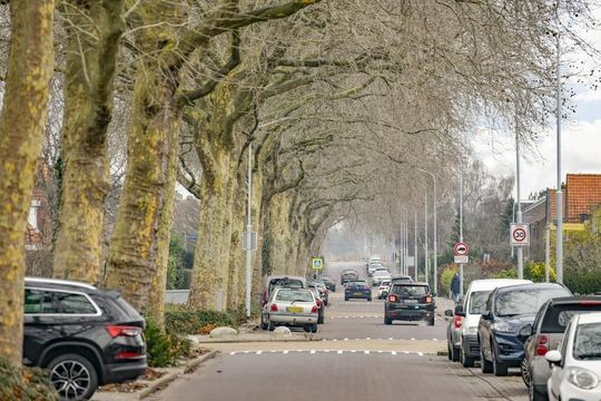 IJweg 87, Zwanenburg foto-24 thumb