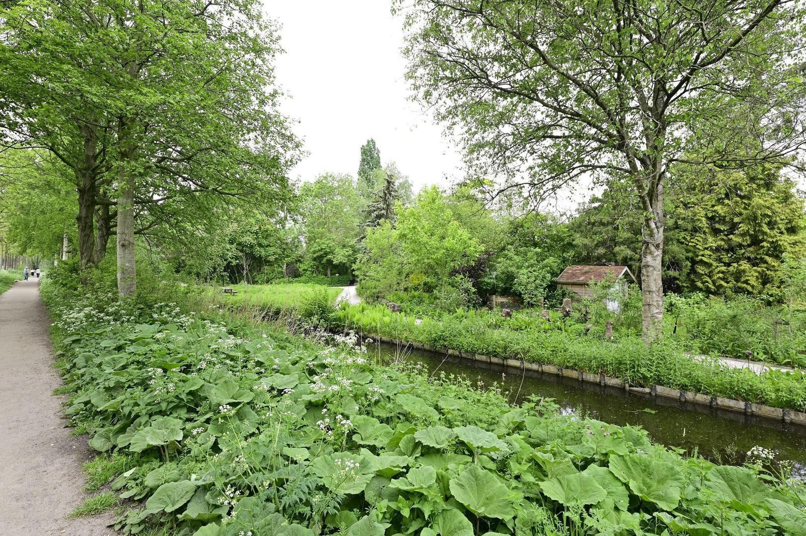 Haarlemmerweg 328, Amsterdam foto-25