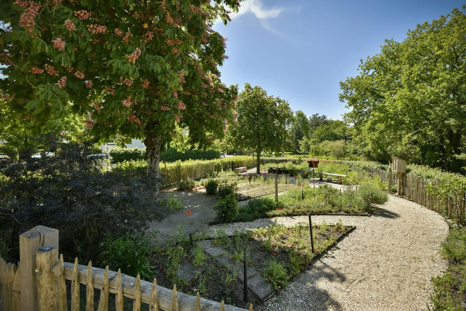 Zandvoortselaan 305, Bentveld foto-34