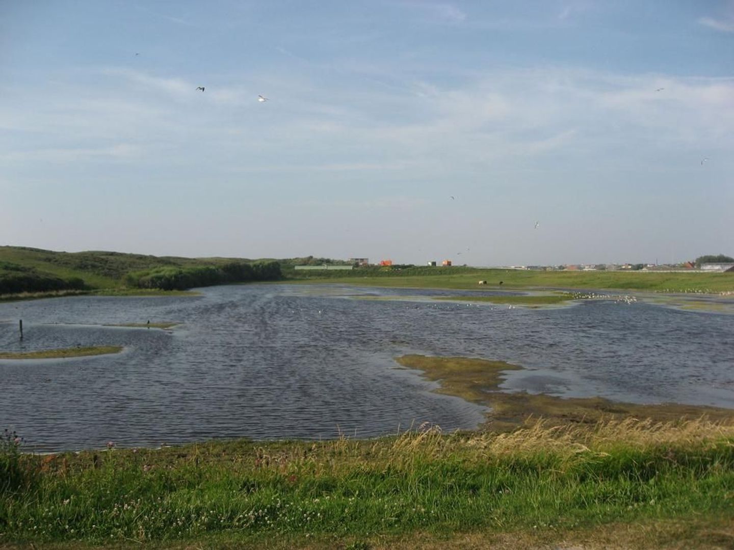 Vreeburghlaan 6, 's-Gravenzande foto-41