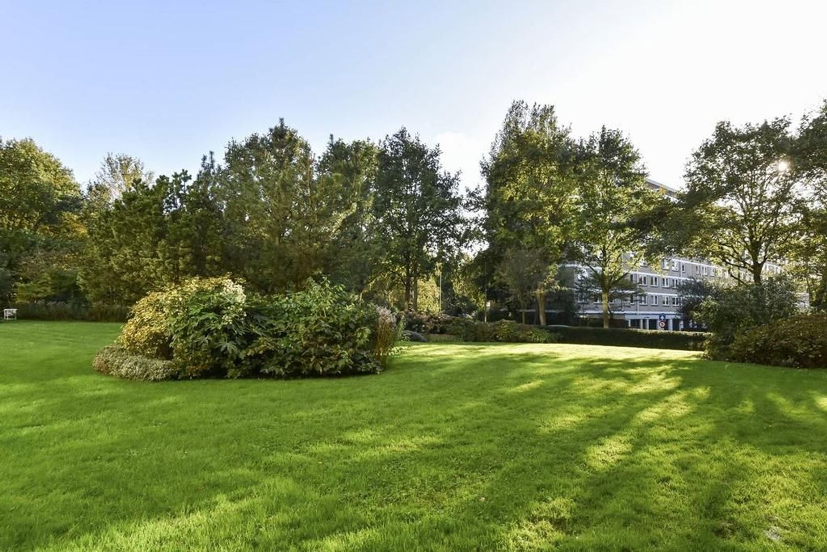 Cees Laseurlaan 231, Den Haag foto-24