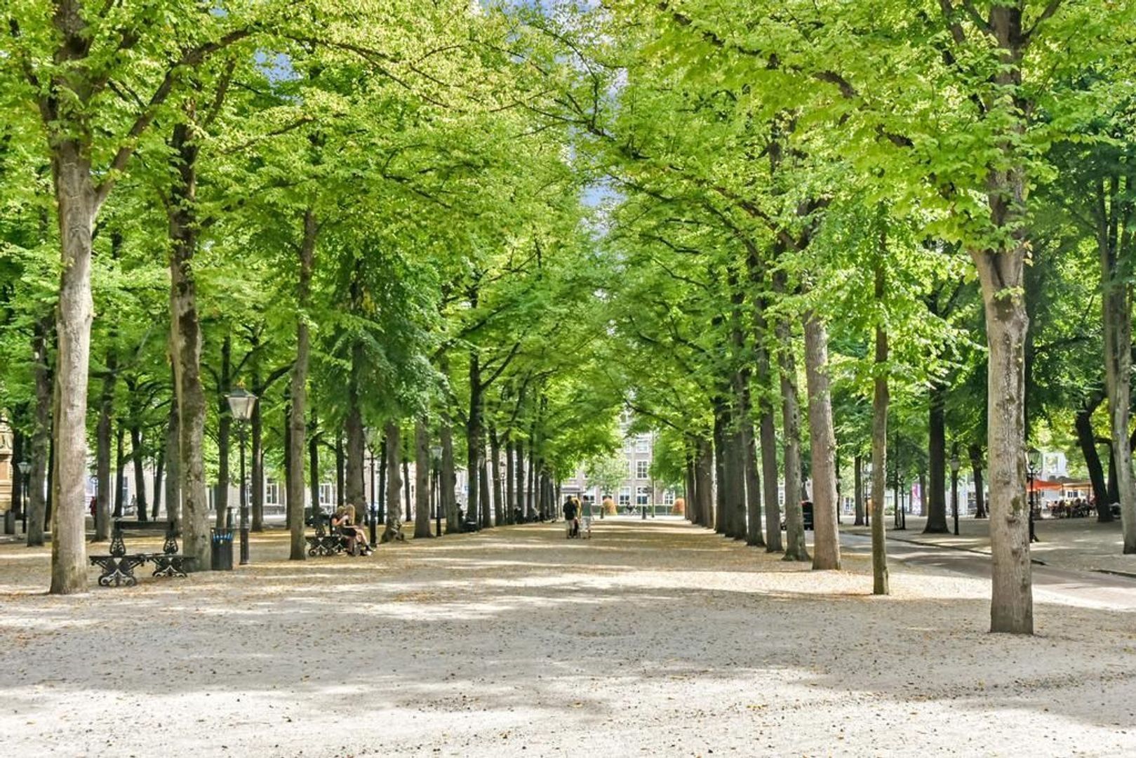 Lange Voorhout 78, Den Haag foto-79