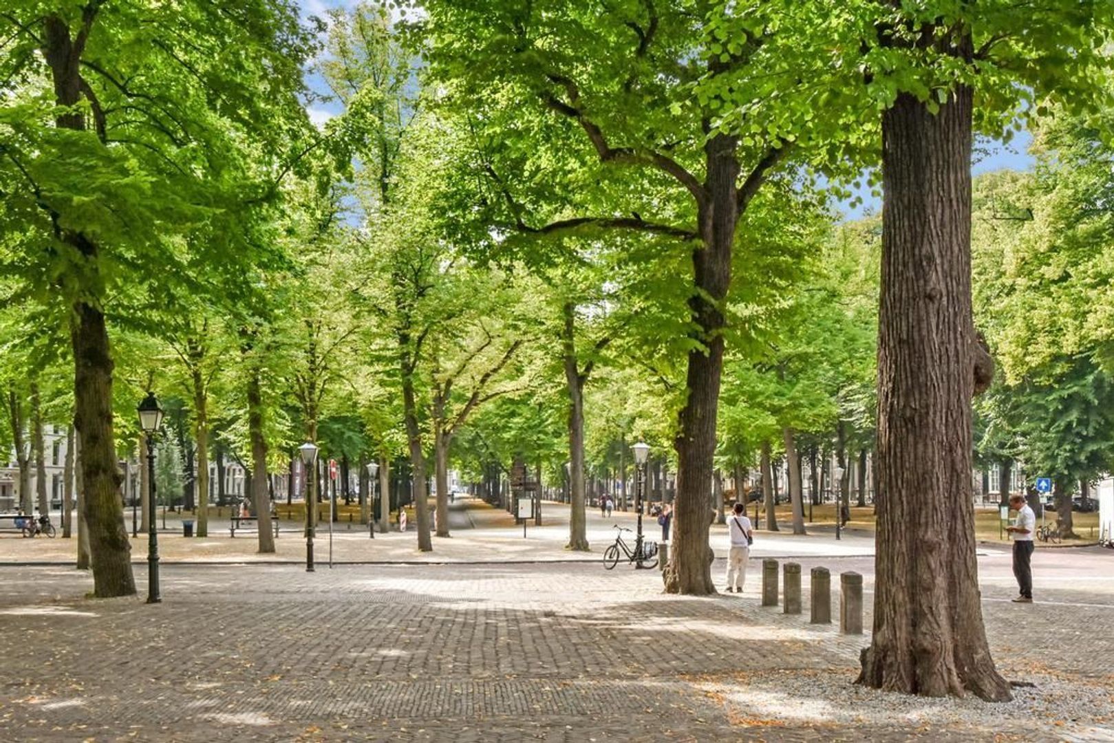 Lange Voorhout 78, Den Haag foto-77