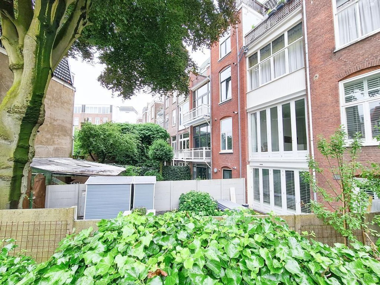 Waldeck Pyrmontkade 939, Den Haag foto-18