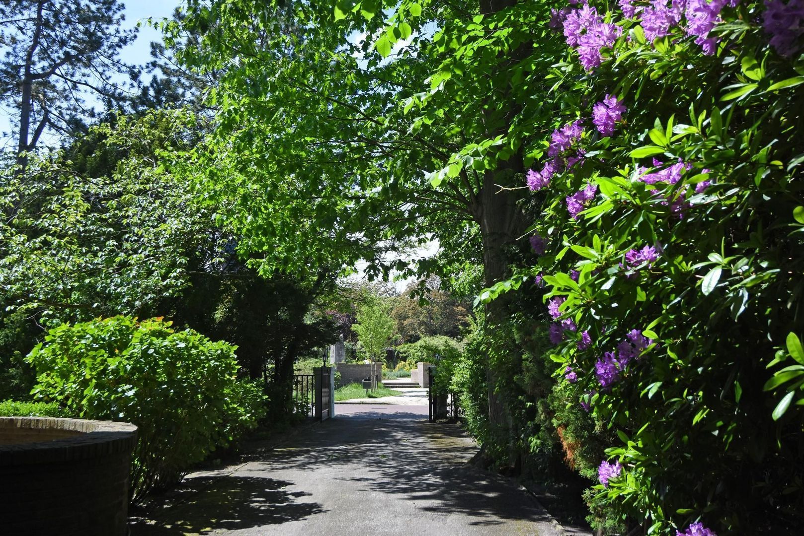 Wilhelminaplein 8, Wassenaar foto-47