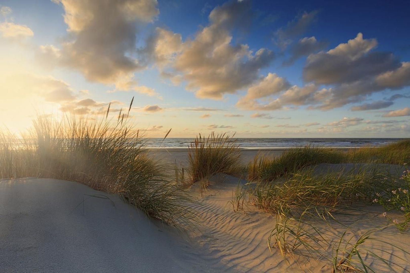 Laan van Eik en Duinen 229, Den Haag foto-48