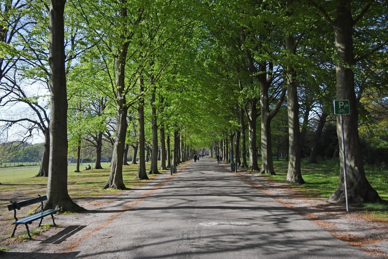 Van Trigtstraat 62, Den Haag foto-39