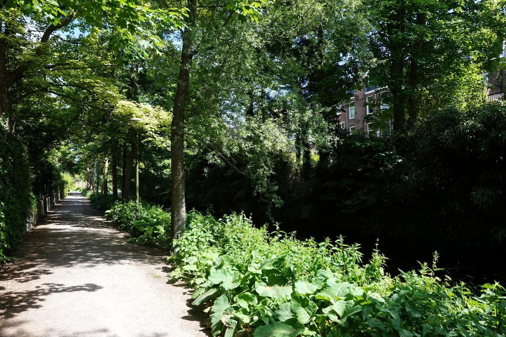 Groot Hertoginnelaan 15, Den Haag foto-59