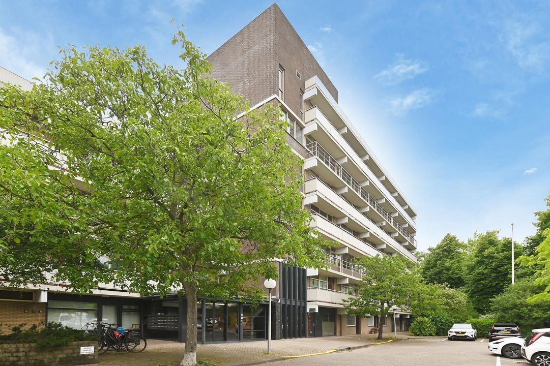 De Brink 1100, Den Haag