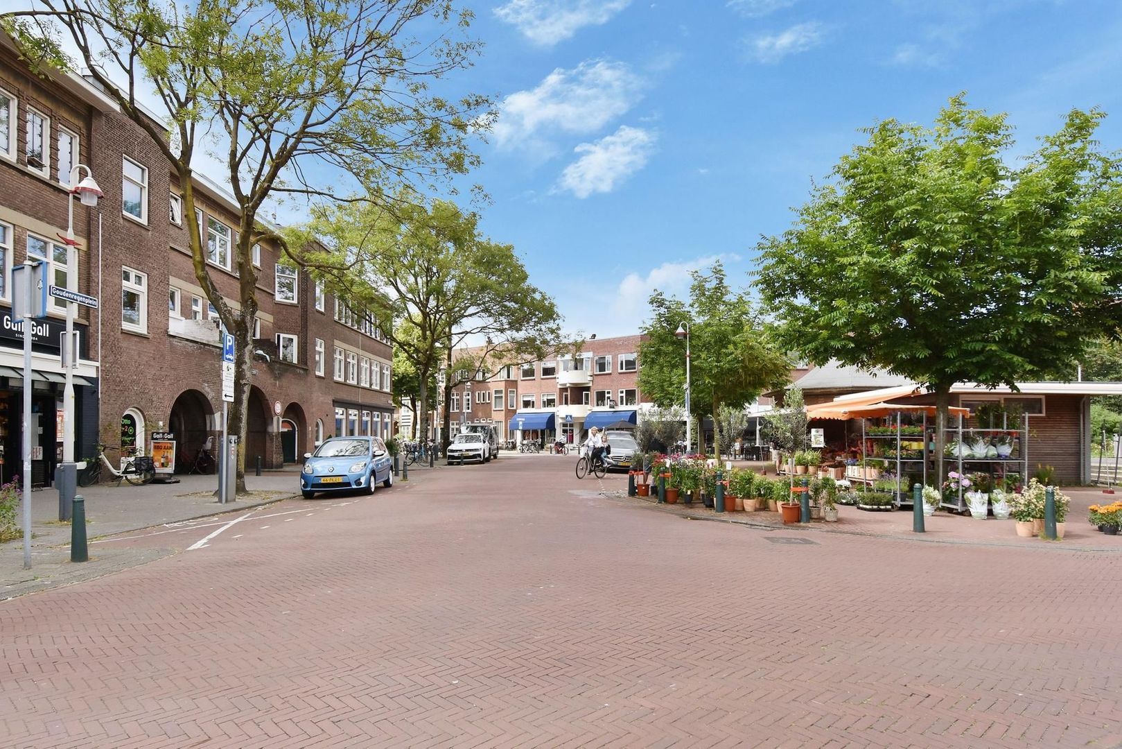 Lijsterbesstraat 145, Den Haag foto-45