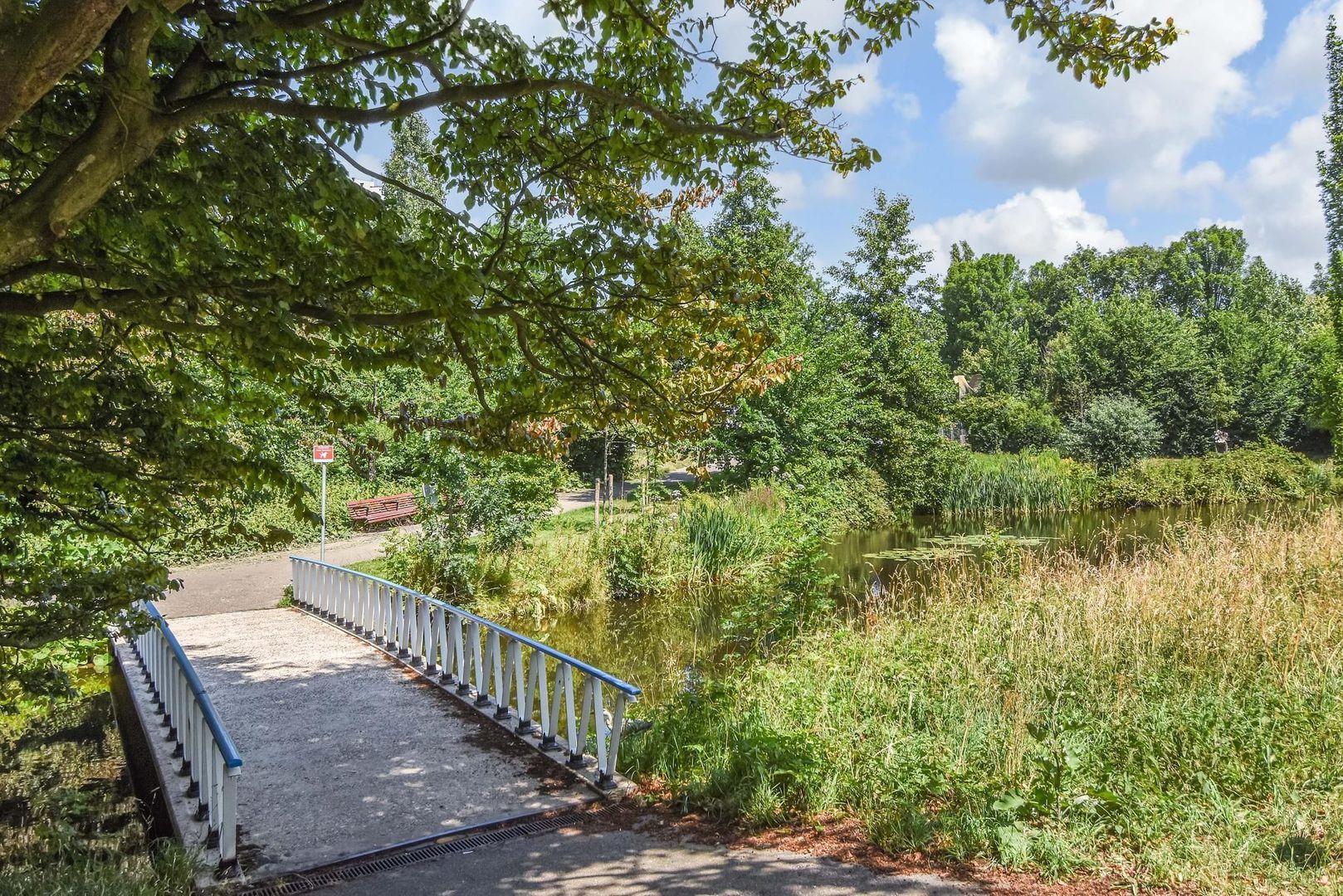 Stadhoudersplantsoen 20 B, Den Haag foto-63