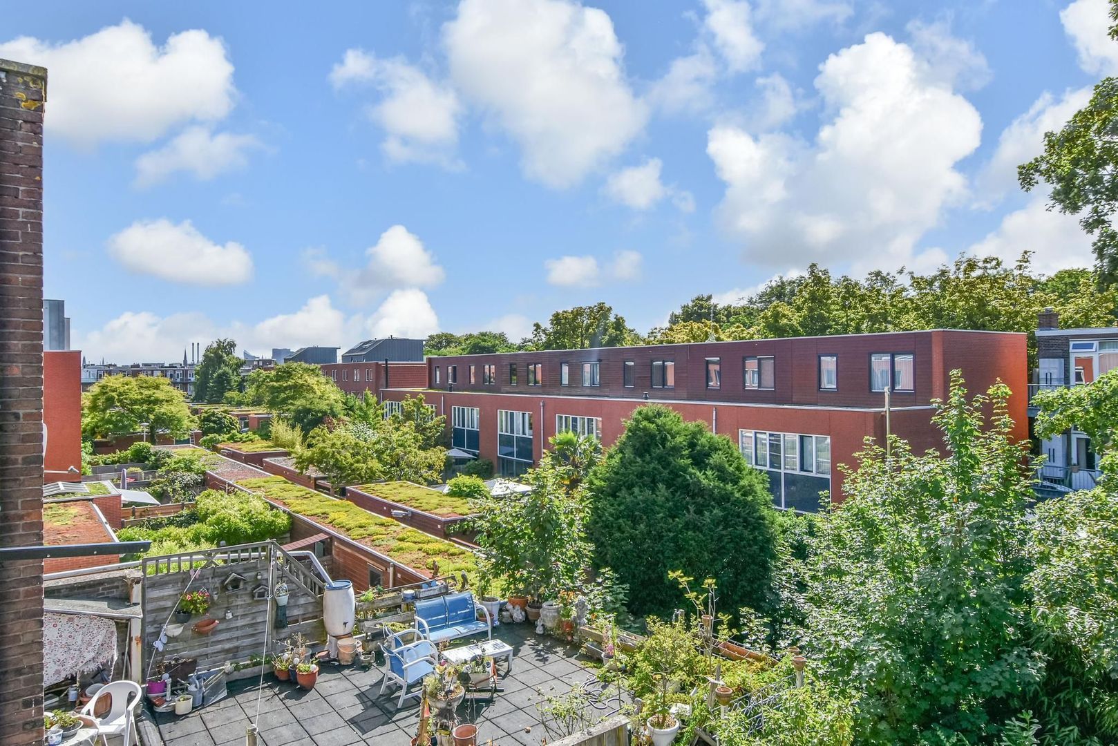 Hortensiastraat 204, Den Haag foto-15