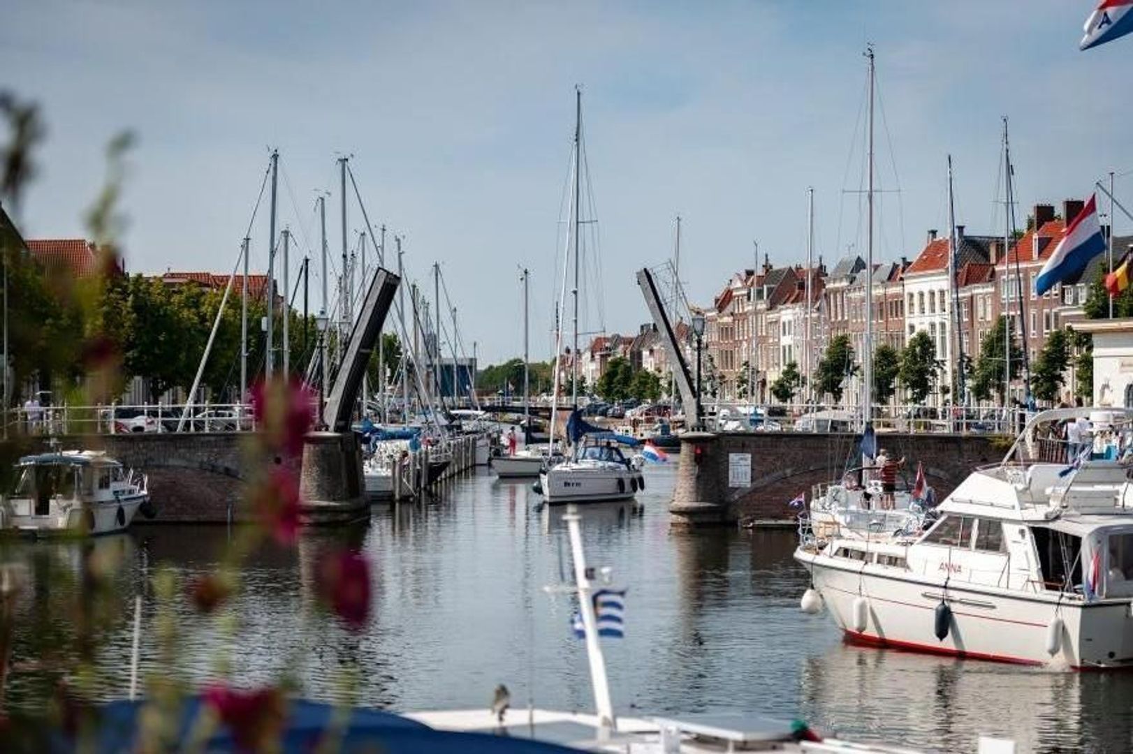 Koninginnenkruid 0 ong, Middelburg foto-12