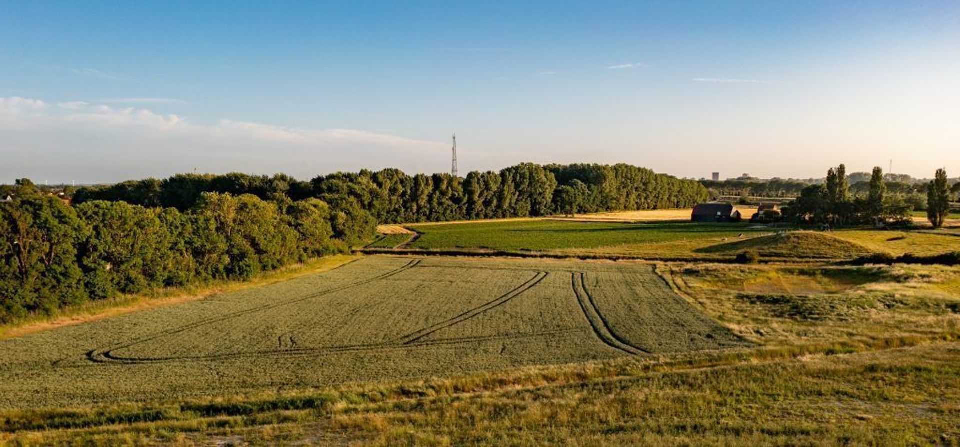 Lelietje-van-Dalen 0 ong, Middelburg foto-6