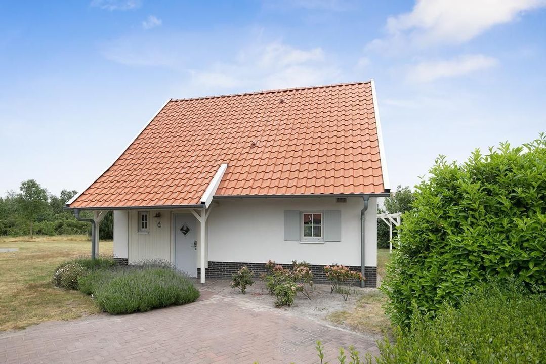 Klein Vink 4 362