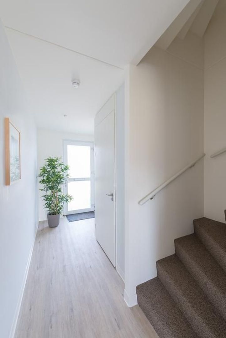 Scheepstimmerstraat 11, Goes foto-1