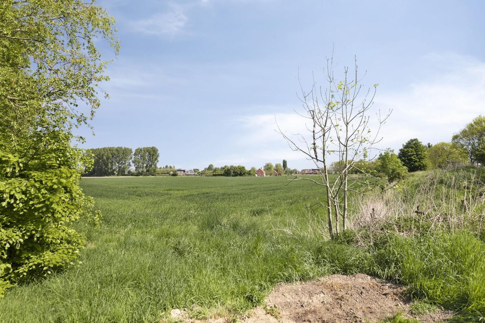 Siguitsedijk 6, Kwadendamme foto-42