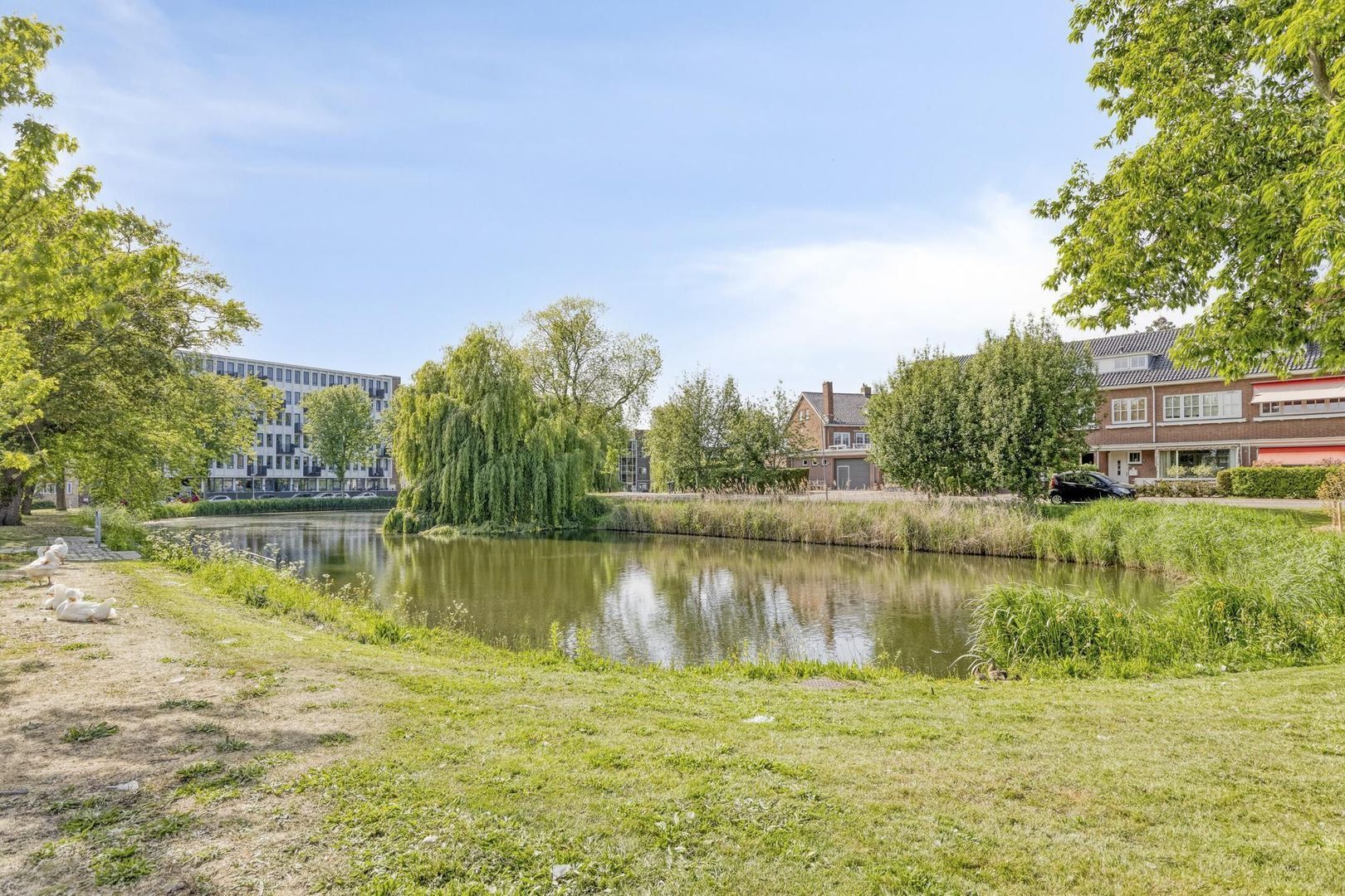 Ravelijn de Grenadier 2, Goes foto-36
