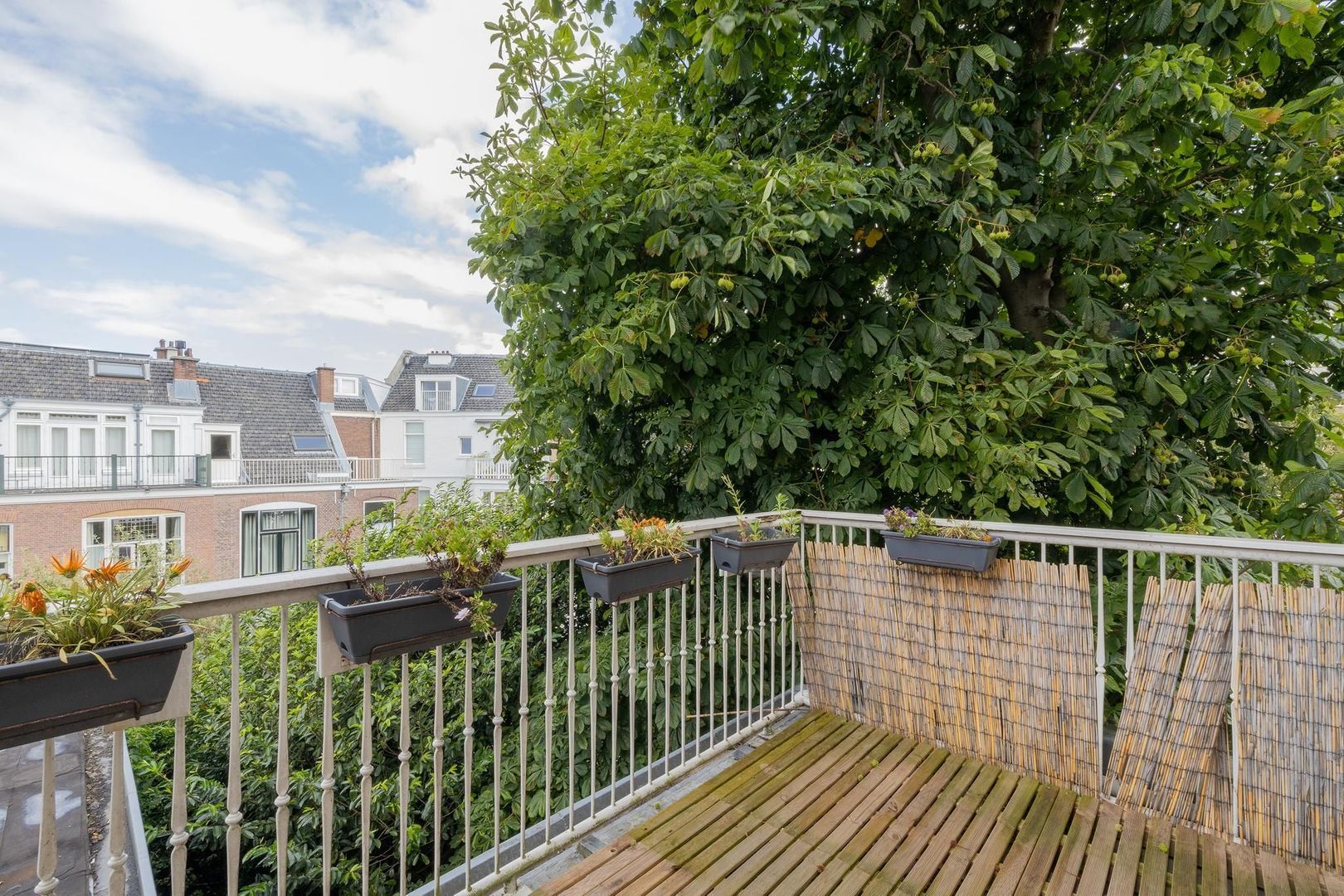 Obrechtstraat 13 A, Den Haag foto-15 blur