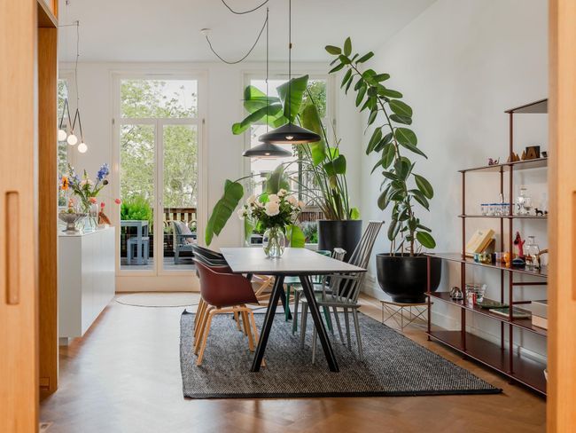 Tweede Jan Steenstraat 117 1, Amsterdam