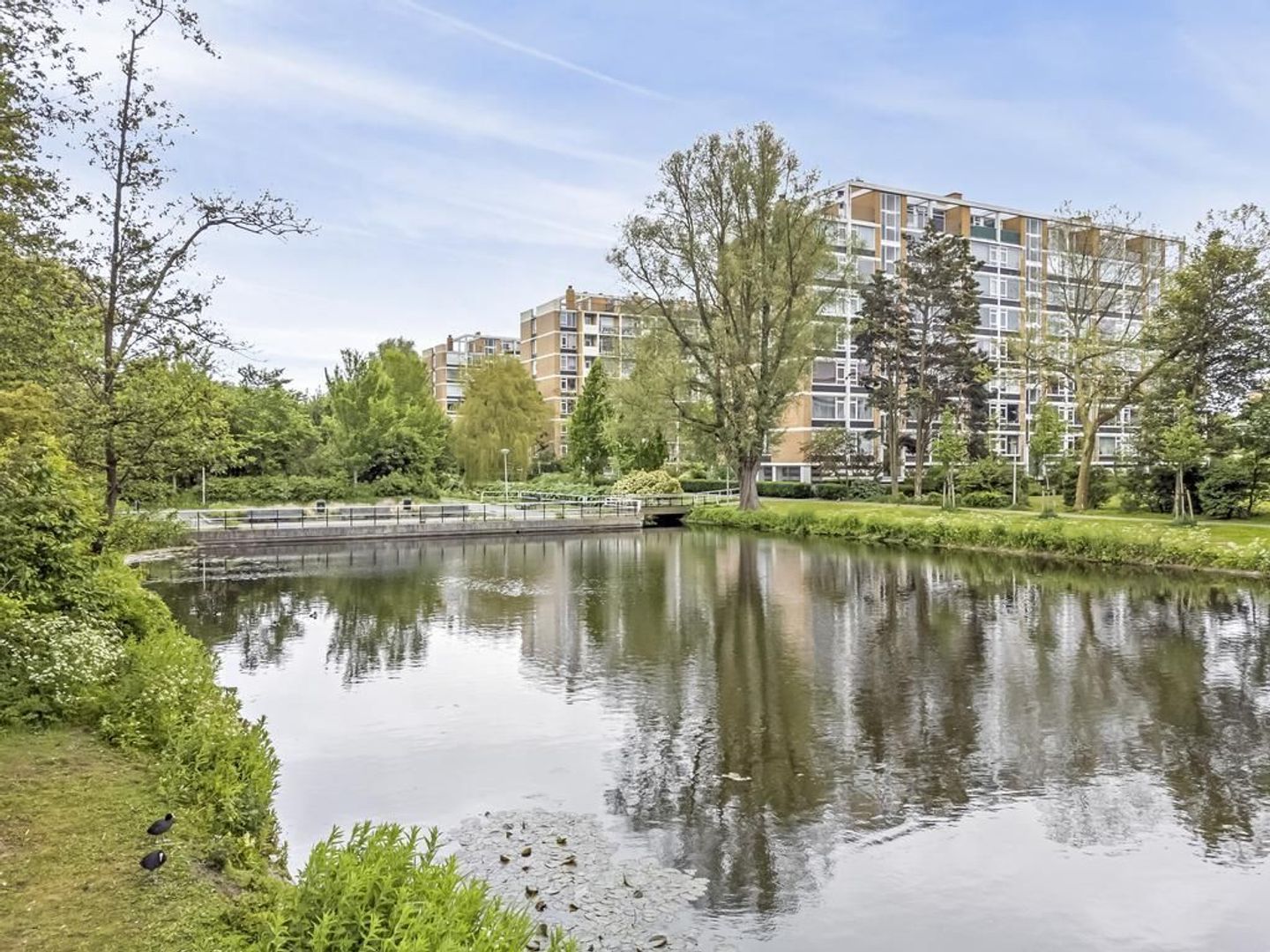 Mozartlaan 446, Den Haag foto-23