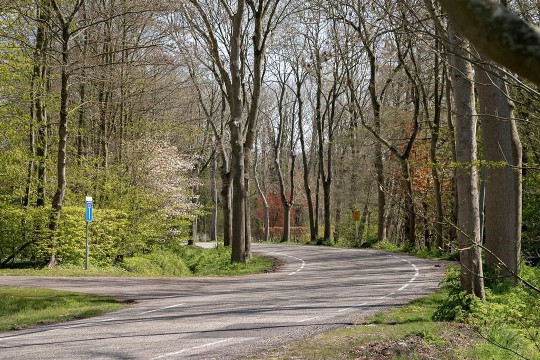 Donkereweg 58, Noordgouwe foto-59