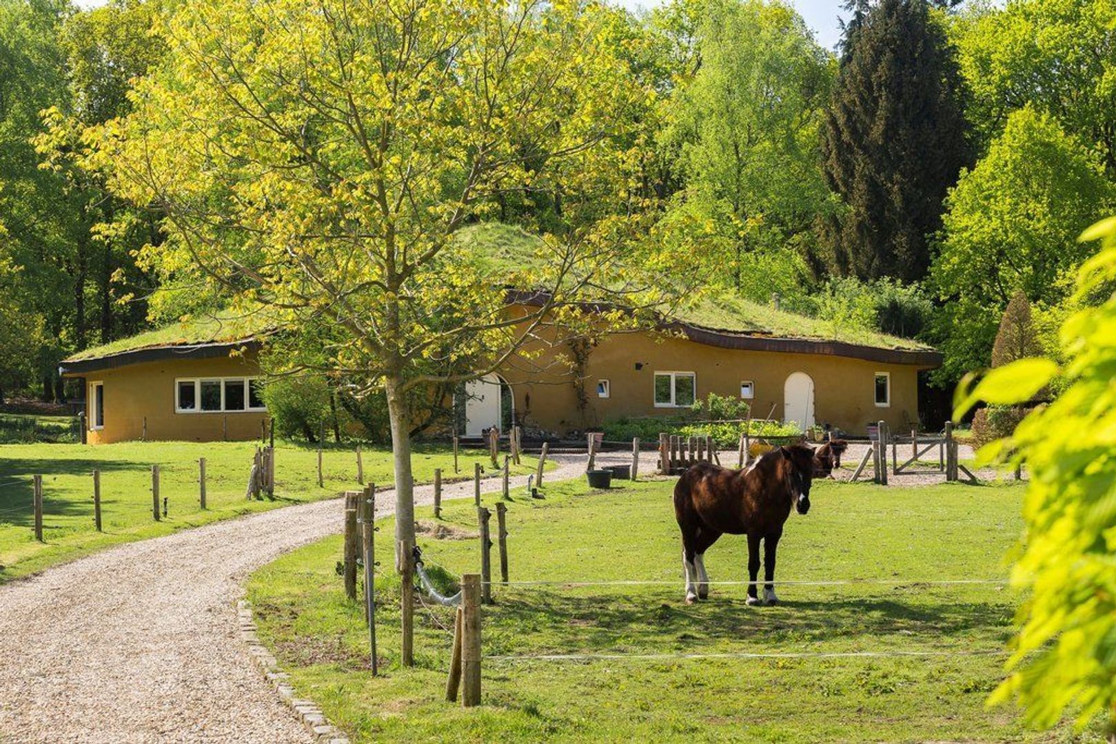 Dalenk 21 a, Loenen
