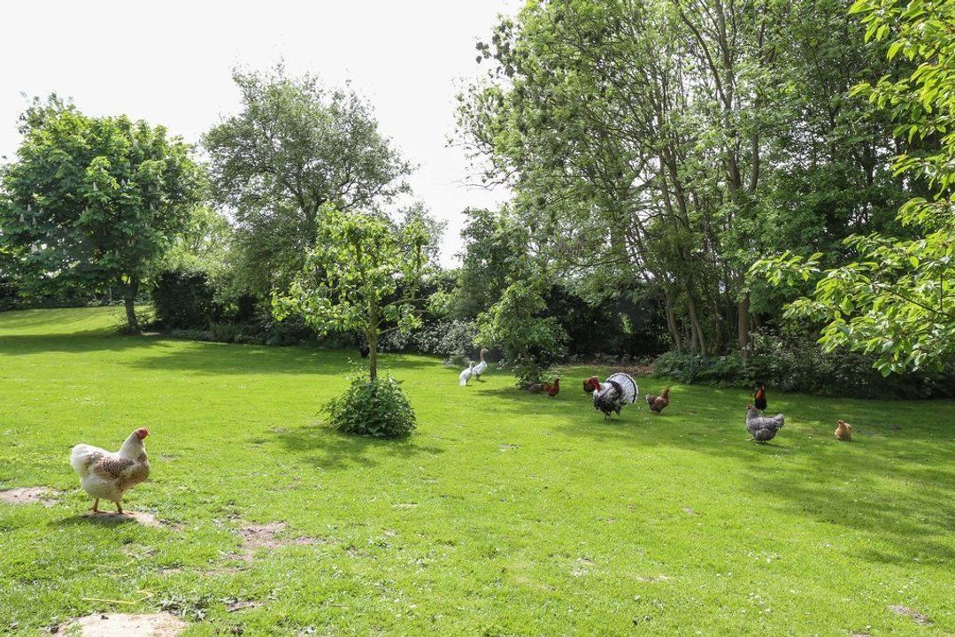 Gebrokendijk 6, Goudswaard foto-8