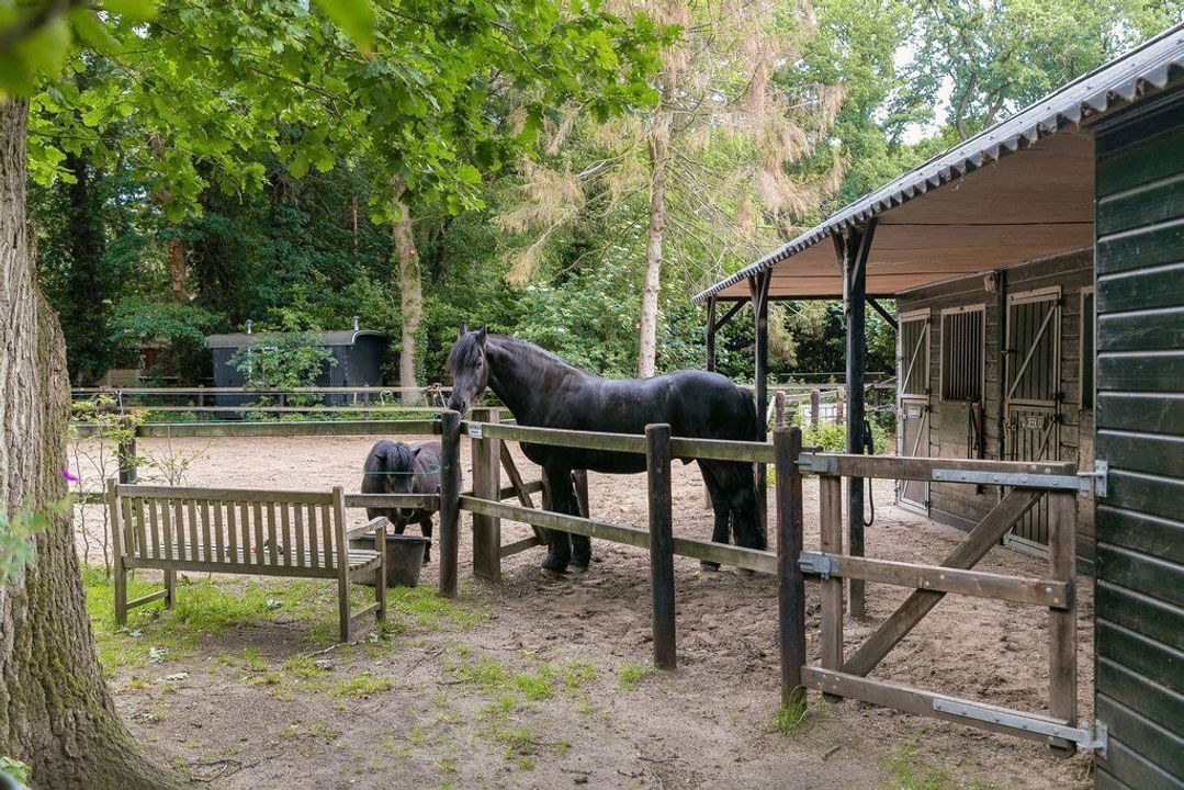 Struisvogellaan 11, Hilversum foto-11