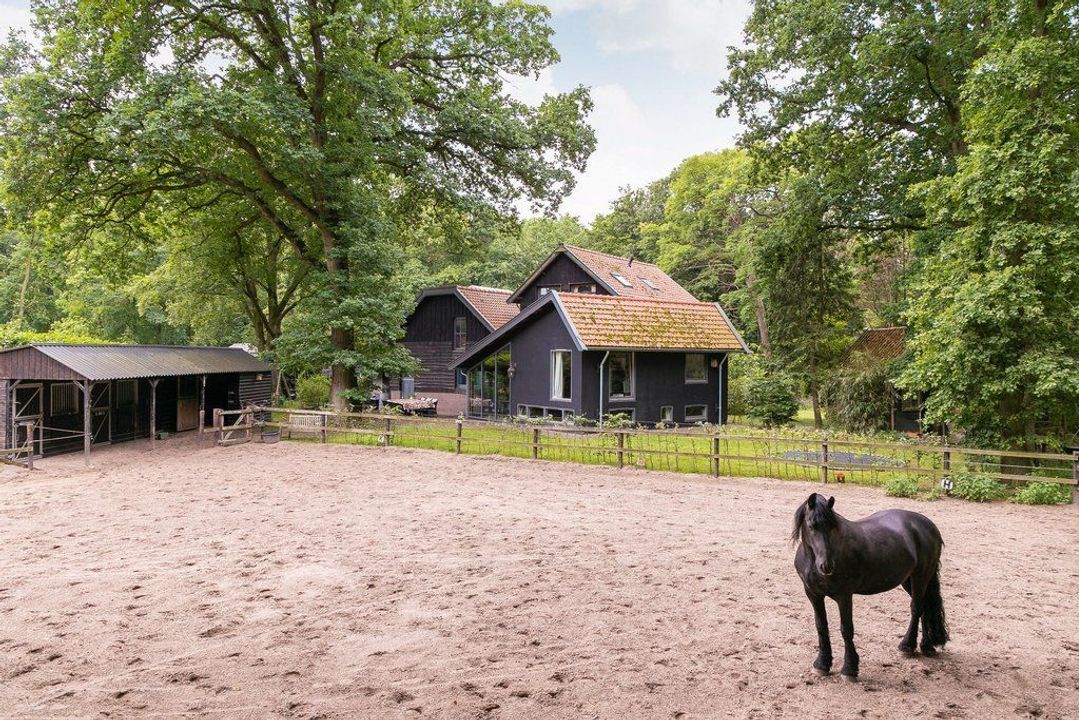 Struisvogellaan 11, Hilversum foto-66