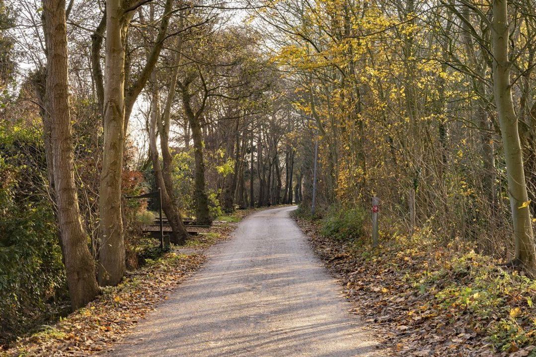 j.j. Boeijesweg 0 ong, Burgh-Haamstede foto-16