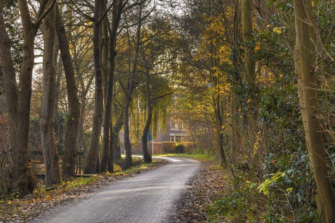 j.j. Boeijesweg 0 ong, Burgh-Haamstede foto-17