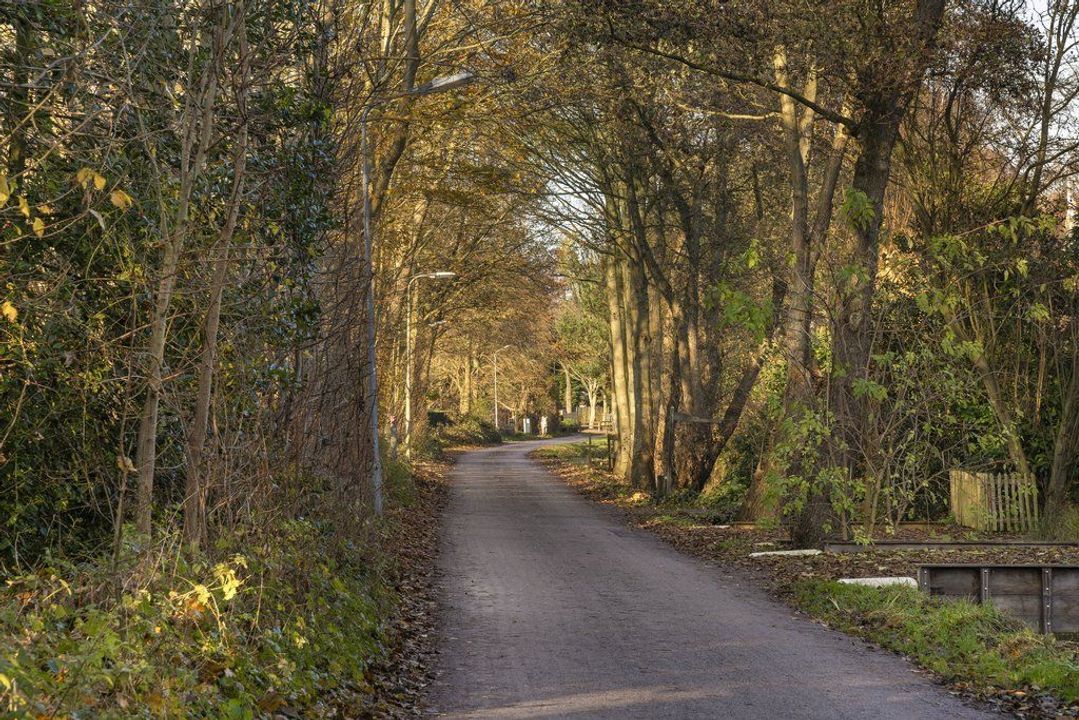 j.j. Boeijesweg 0 ong, Burgh-Haamstede foto-18
