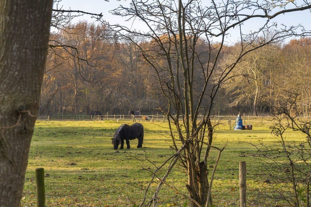 j.j. Boeijesweg 0 ong, Burgh-Haamstede foto-0